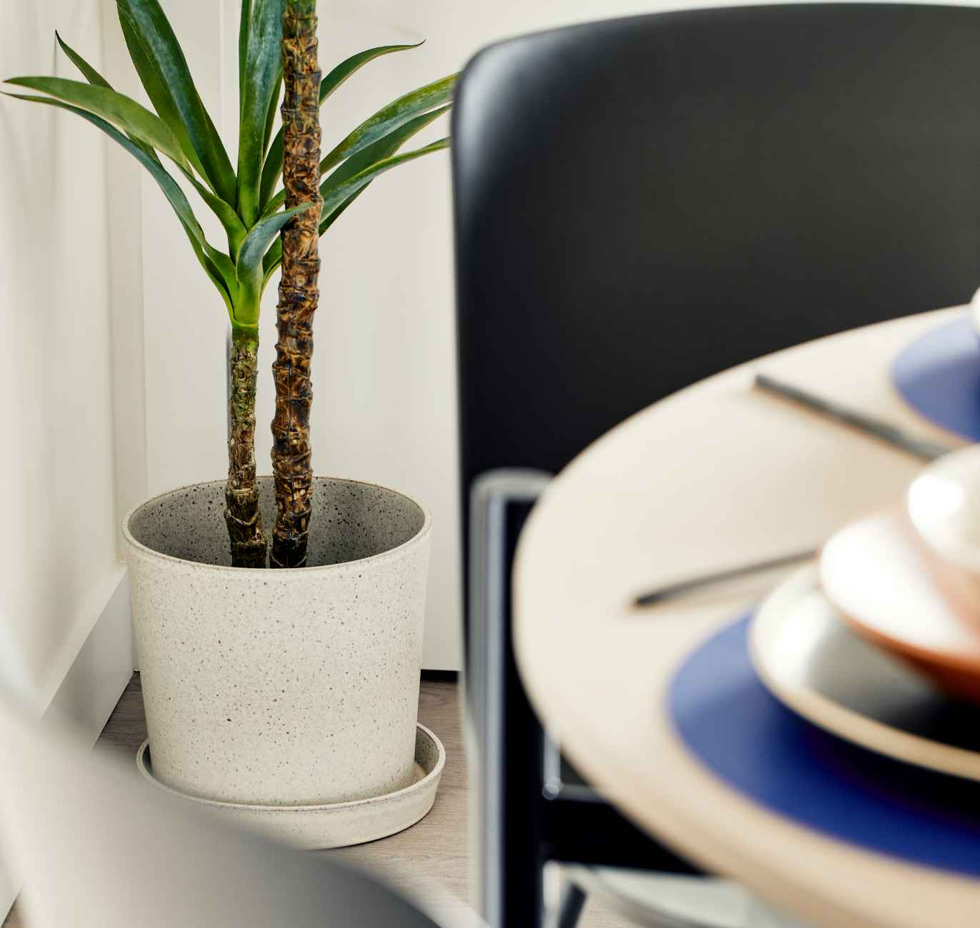 Find Studio Apartments